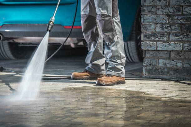Best Paint Preparation  in West New York, NJ